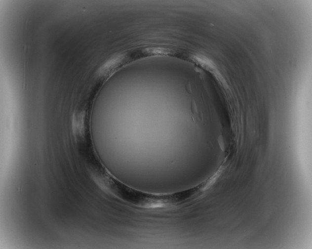 X0000087620167200704271405