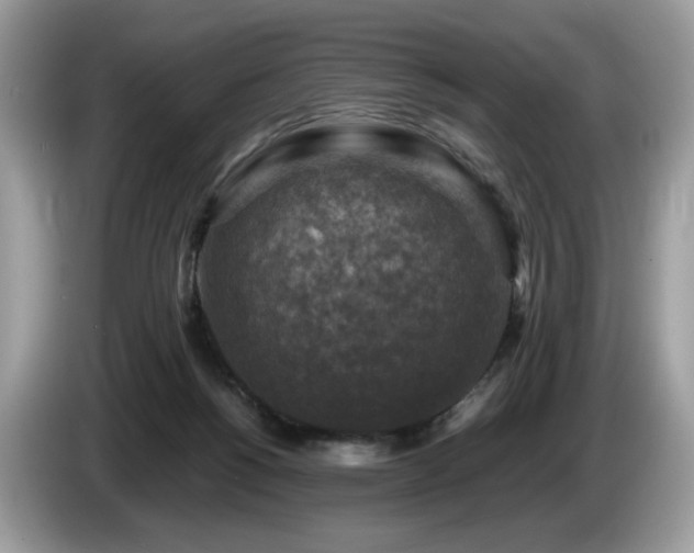 X0000087620168200704271405
