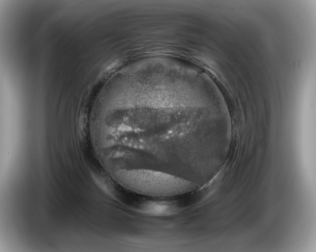 X0000087620171200704271405
