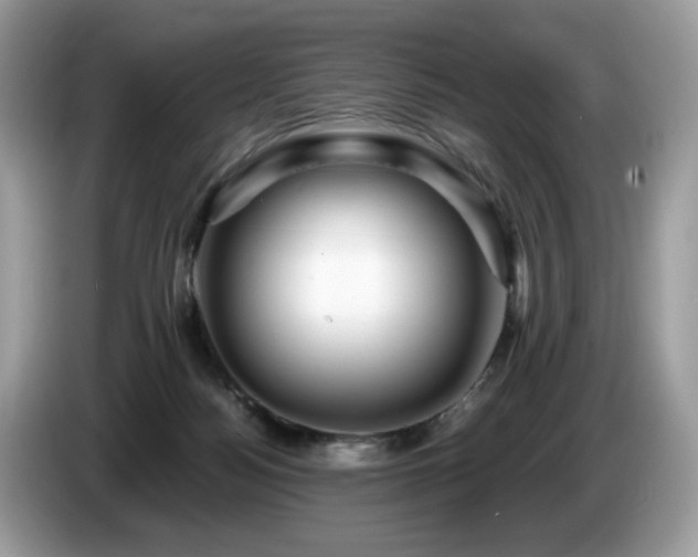 X0000087620172200704271405