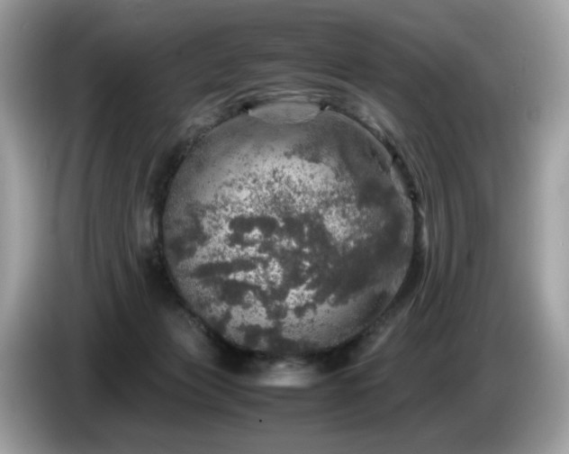 X0000087620173200704271405