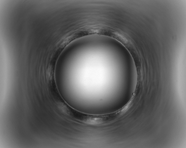 X0000087620174200704271405
