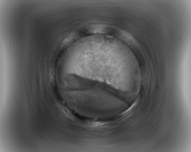 X0000087620175200704271405