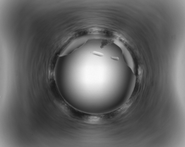 X0000087620176200704271405