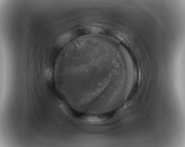 X0000087620177200704271405
