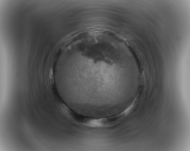 X0000087620178200704271405