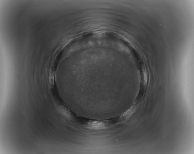 X0000087620180200704271405