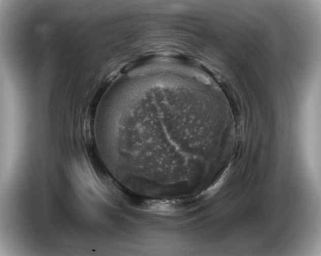 X0000087620182200704271405