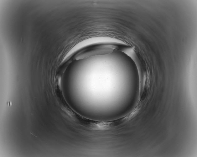 X0000087620184200704271405