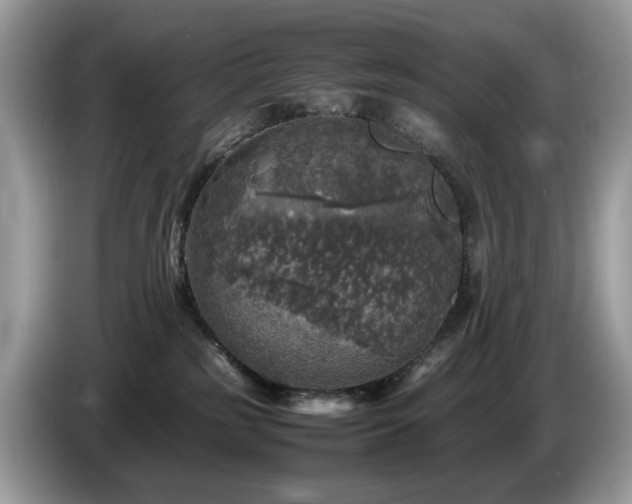 X0000087620185200704271405