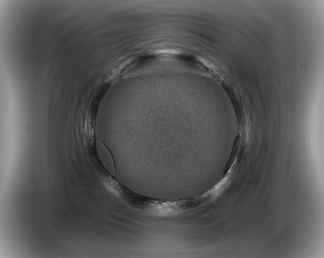X0000087620186200704271405