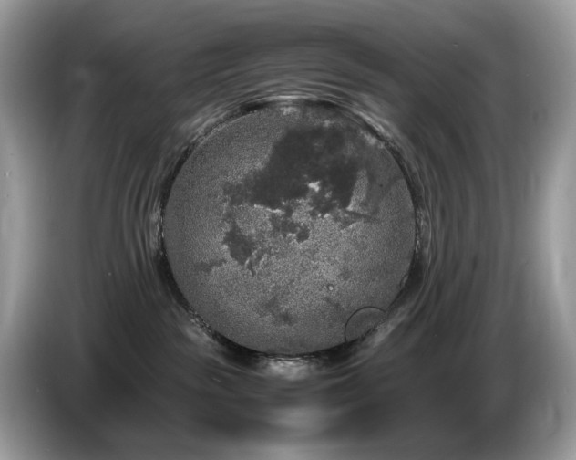 X0000087620189200704271405