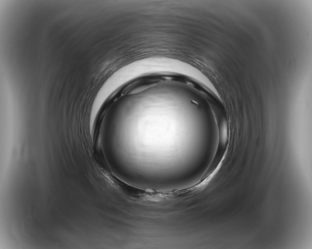X0000087620190200704271405