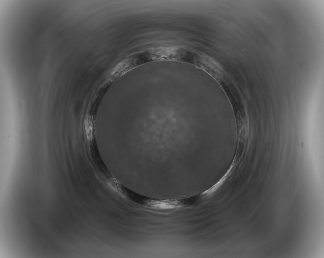 X0000087620191200704271405