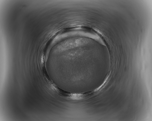 X0000087620192200704271405