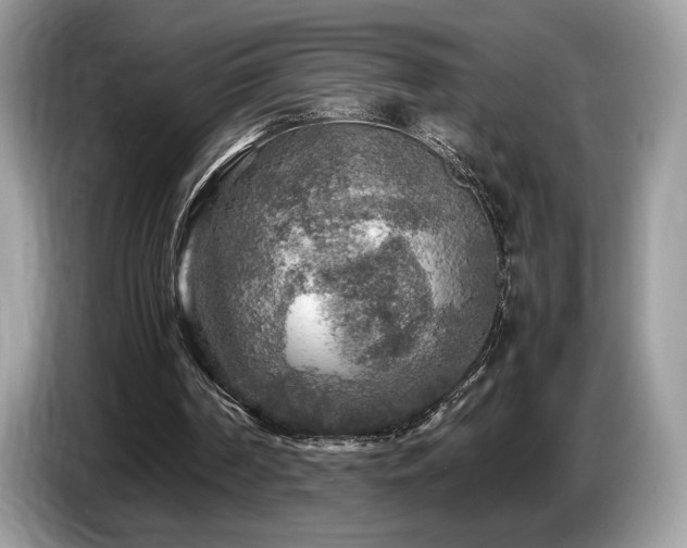 X0000087620194200704271404