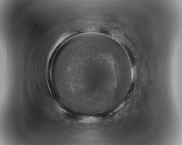 X0000087620195200704271404