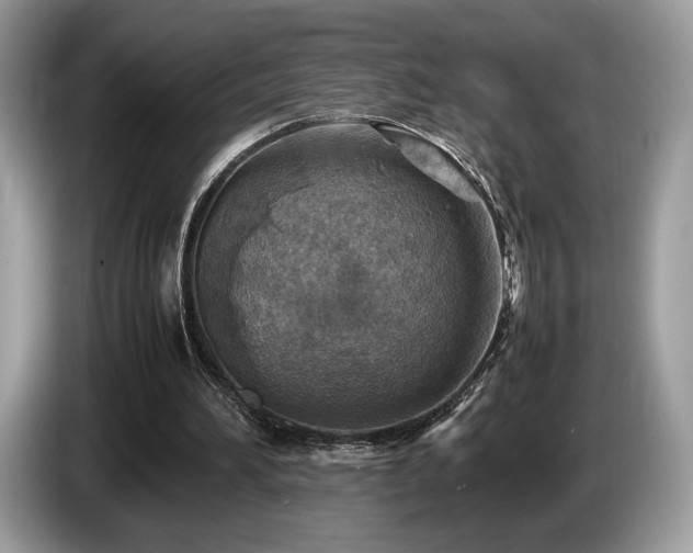 X0000087620196200704271404