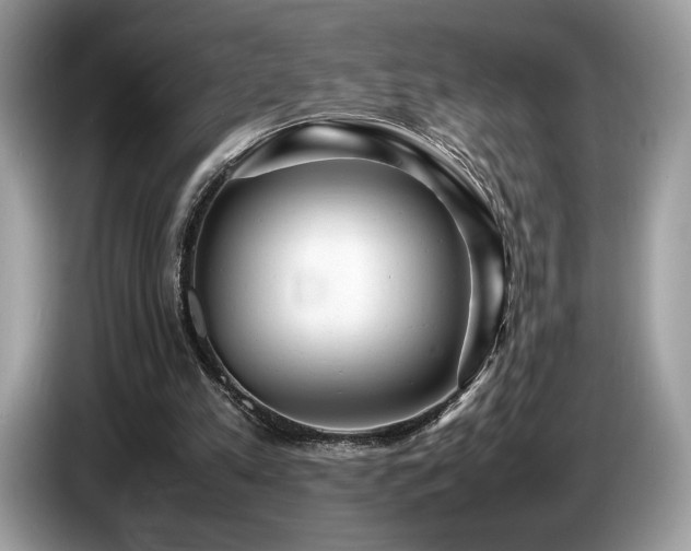 X0000087620197200704271404