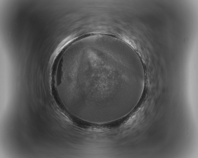 X0000087620199200704271404