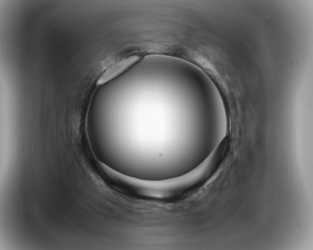 X0000087620201200704271404