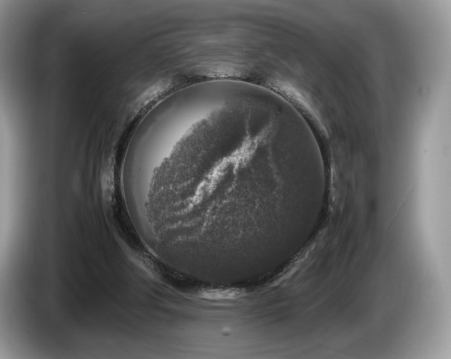 X0000087620202200704271404