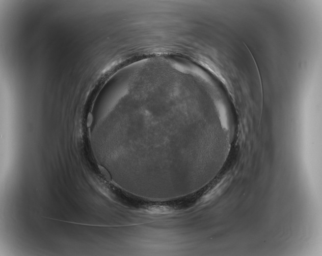 X0000087620203200704271404