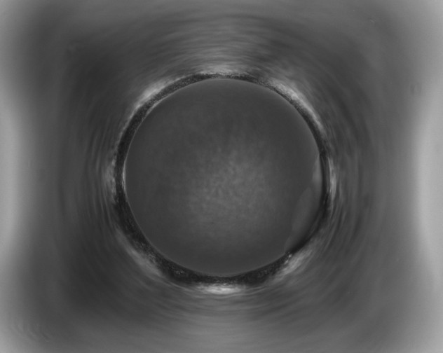 X0000087620204200704271404