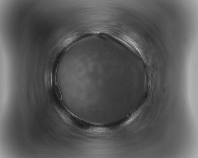 X0000087620205200704271404