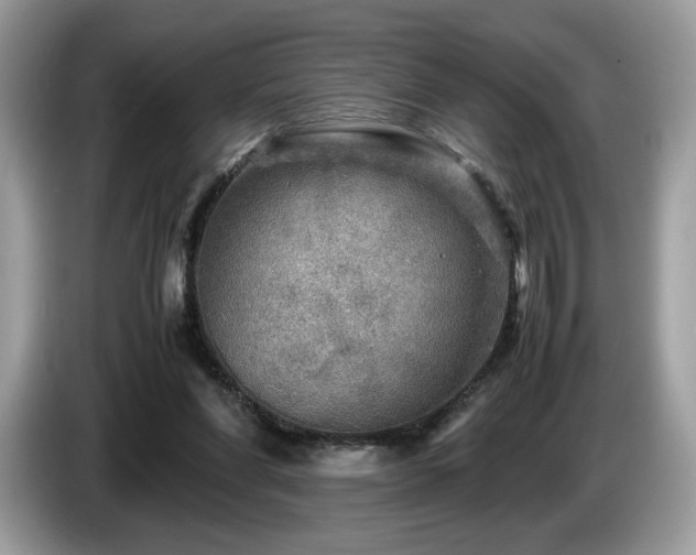 X0000087620206200704271404