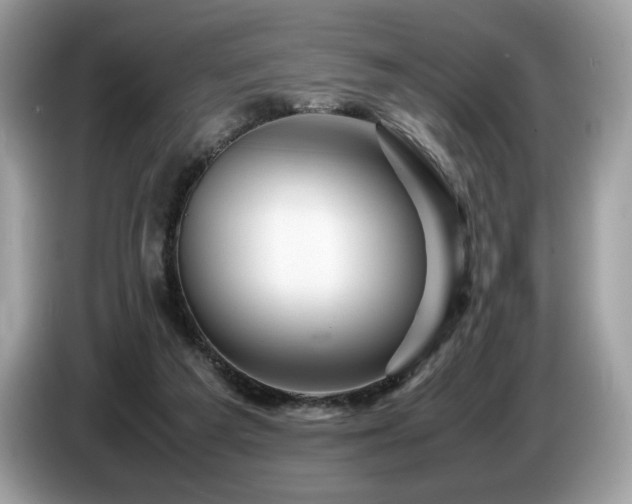 X0000087620209200704271404