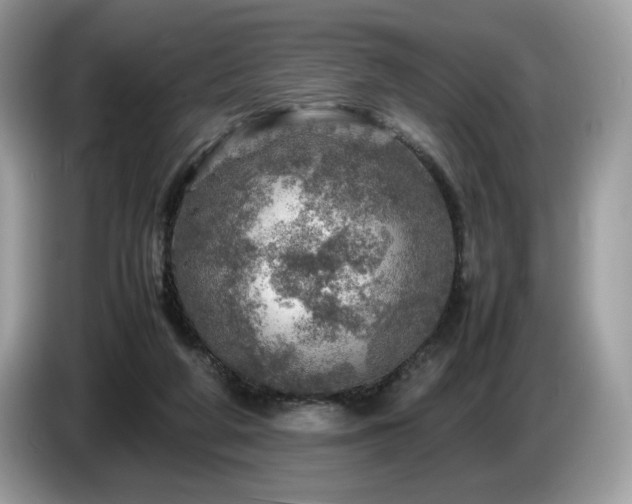 X0000087620210200704271404
