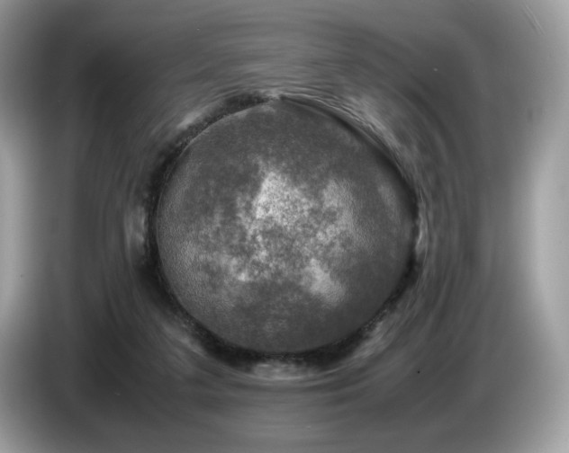 X0000087620211200704271404