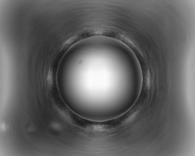X0000087620216200704271404