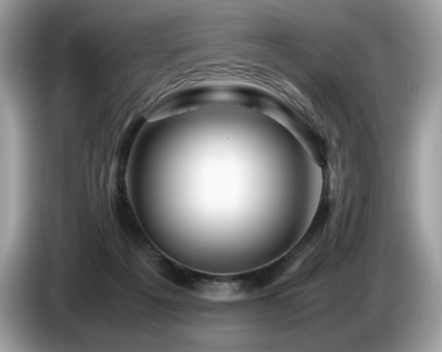 X0000087620217200704271404