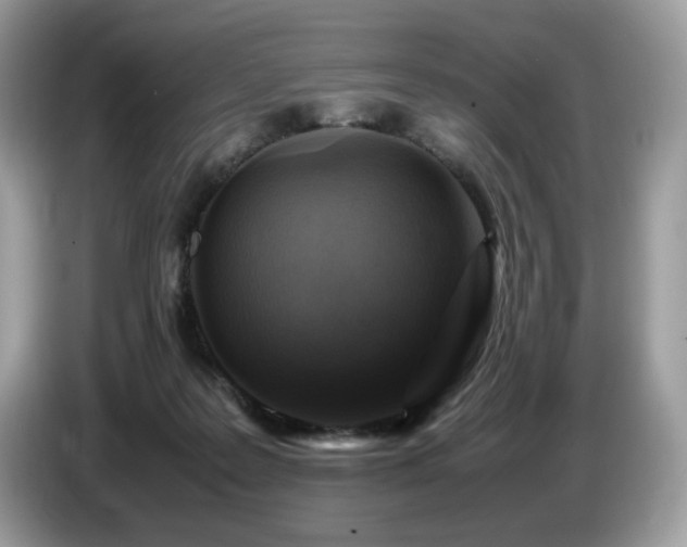 X0000087620219200704271404