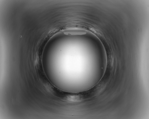 X0000087620220200704271404