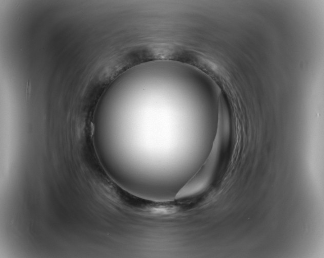 X0000087620221200704271404