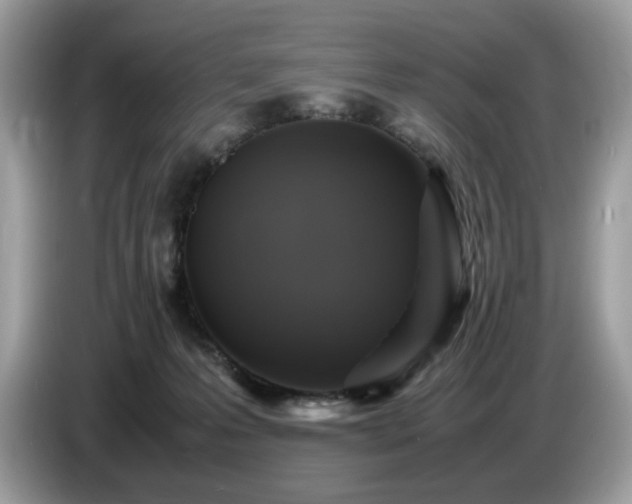 X0000087620223200704271404