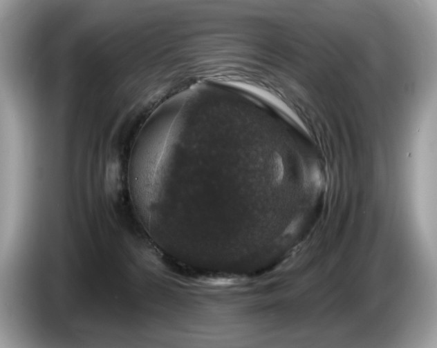 X0000087620224200704271404