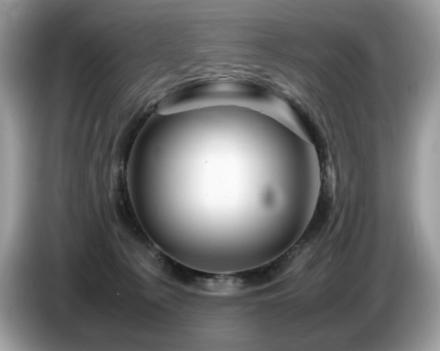 X0000087620225200704271404
