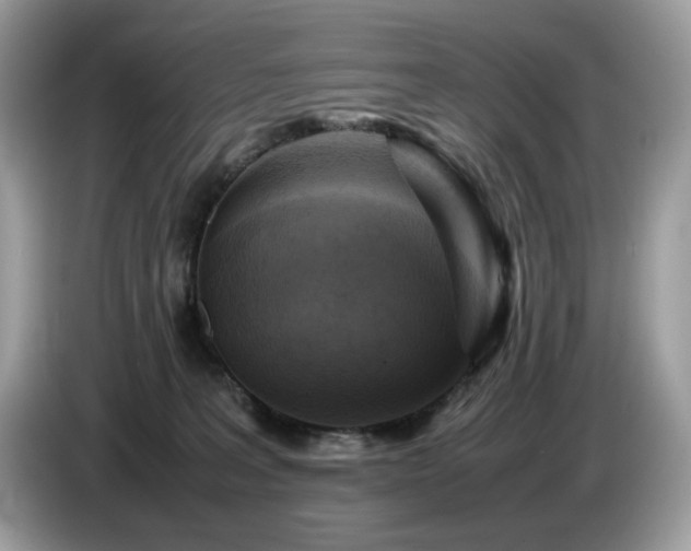 X0000087620227200704271404