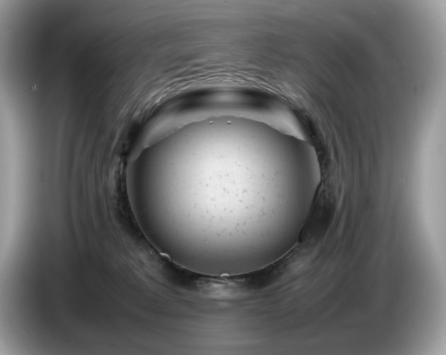 X0000087620229200704271404