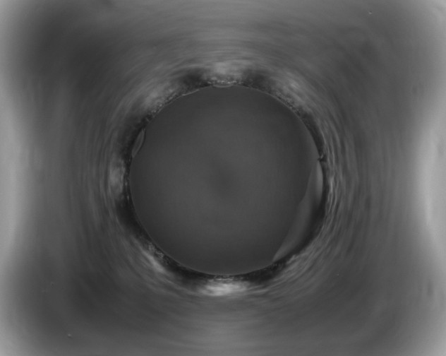X0000087620231200704271404
