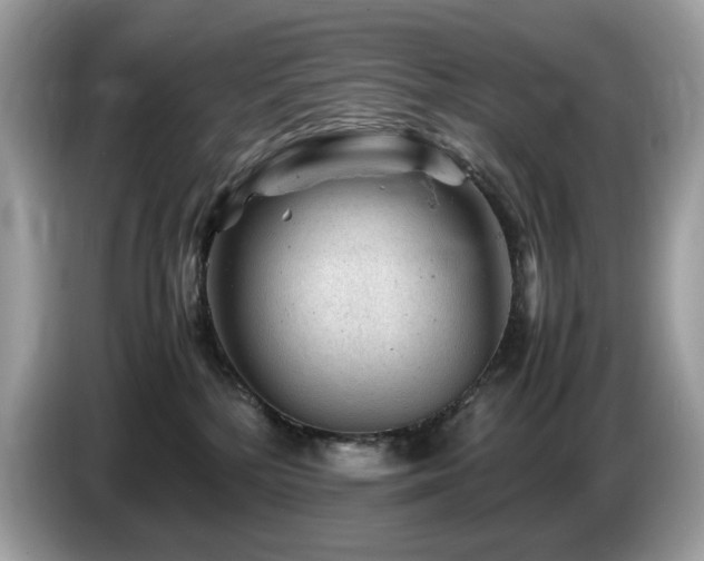 X0000087620232200704271404