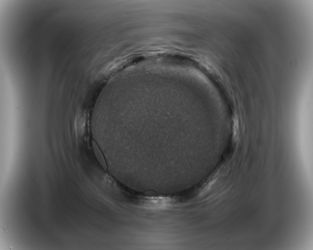 X0000087620233200704271404
