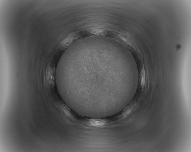 X0000087620234200704271404
