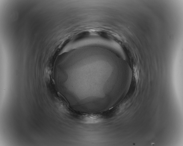 X0000087620235200704271404