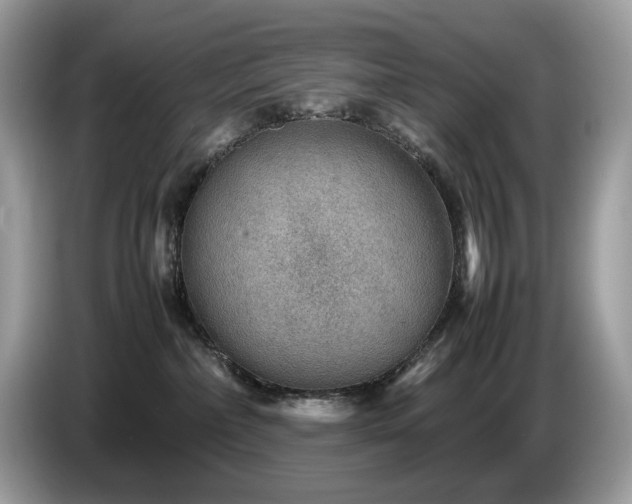 X0000087620236200704271404