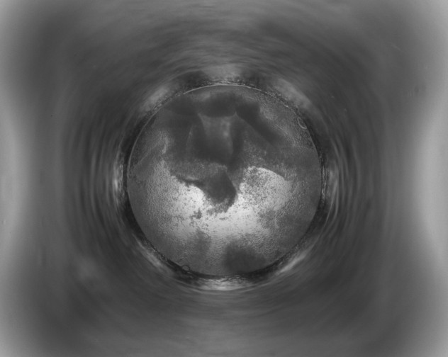X0000087620238200704271404